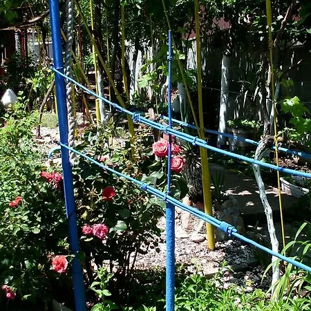 Dom wakacyjny Smile Bungalow Czernomorec